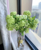 【邂逅春天】木绣球  绿色  约5枝/扎  多规格 商品缩略图6