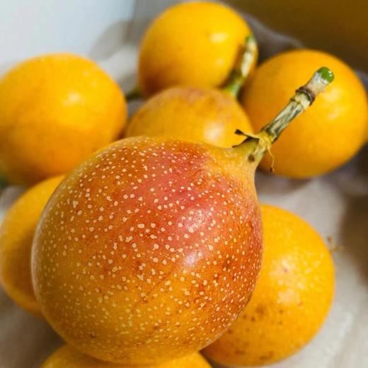 【云南热情果】 高端水果/纯甜无酸浓香/哥伦比亚稀有热情果黄金果/现摘现发京东包邮 商品图7