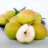 新疆库尔勒香梨 商品缩略图0