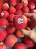 新西兰小花苹果  脆甜多汁 花香味十足 商品缩略图6