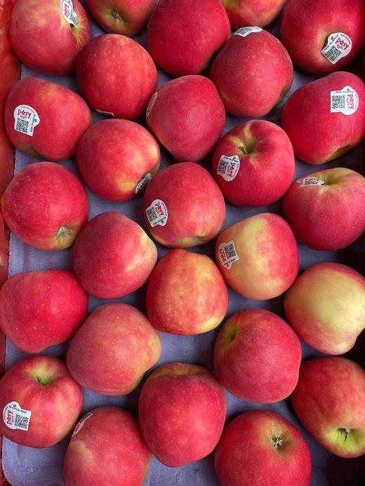 新西兰小花苹果  脆甜多汁 花香味十足 商品图7