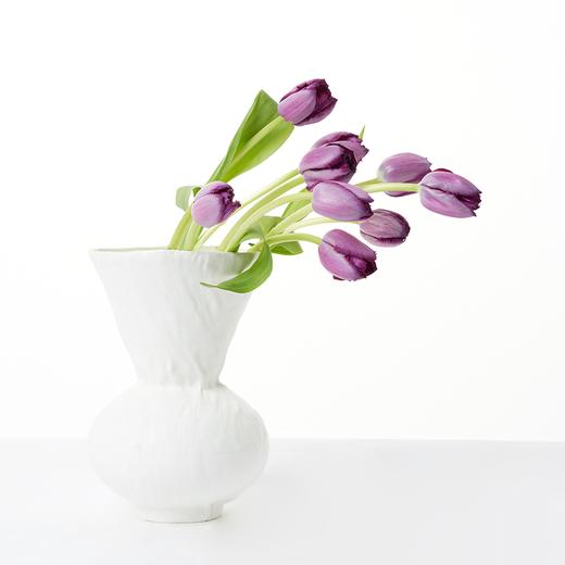 郁金香 Tulip 商品图4