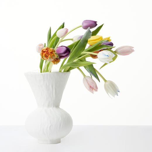 郁金香 Tulip 商品图0