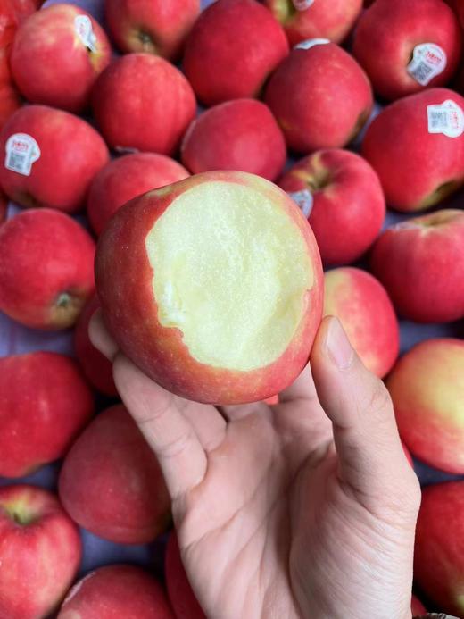 新西兰小花苹果  脆甜多汁 花香味十足 商品图8