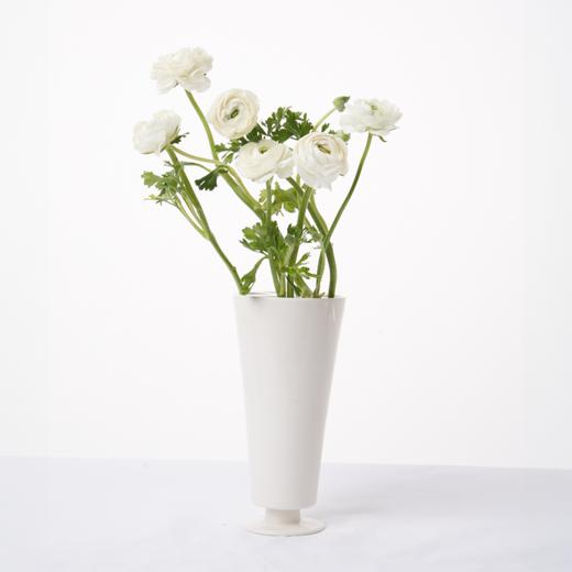 洋牡丹 Ranunculus 商品图12