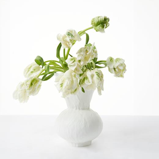 郁金香 Tulip 商品图6