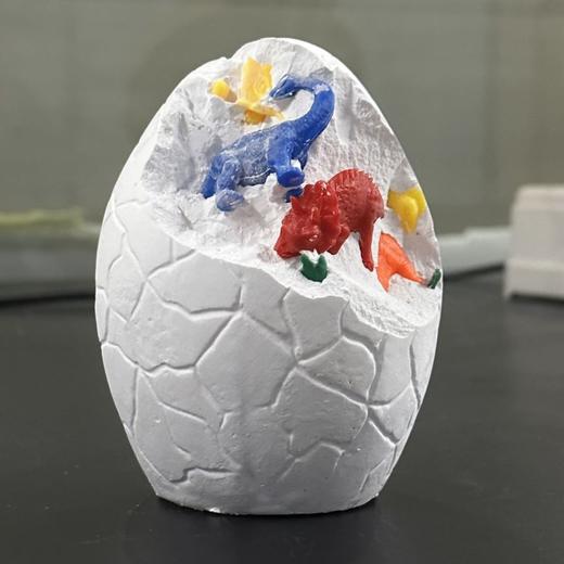 【河南自博-游馆】化石修复实验站 商品图7