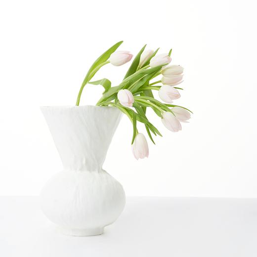 郁金香 Tulip 商品图1