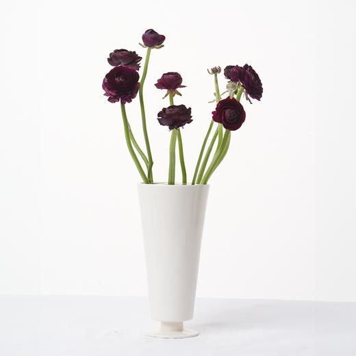 洋牡丹 Ranunculus 商品图10