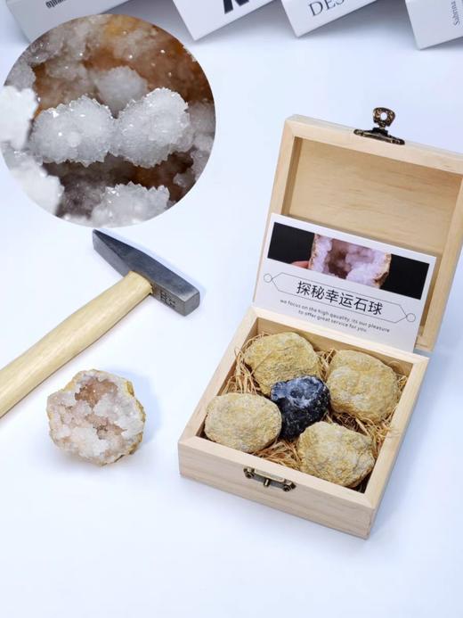 【河南自博-游馆】化石修复实验站 商品图9