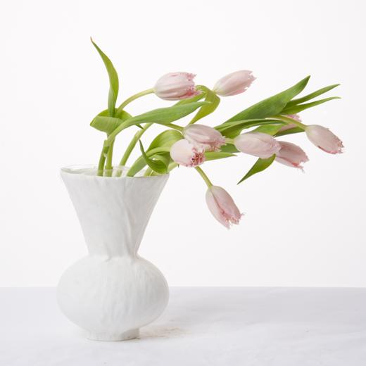 郁金香 Tulip 商品图5