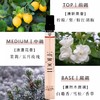【小样】兰蔻是我淡香水10ml/102297 花香木质调余香难忘 商品缩略图2