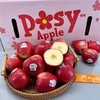 新西兰Posy™小花「苹果」礼盒款 整件 约2.5kg 商品缩略图2