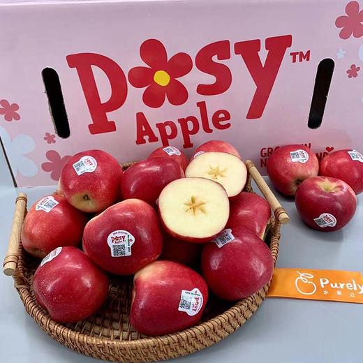 新西兰Posy™小花「苹果」礼盒款 整件 约2.5kg 商品图2