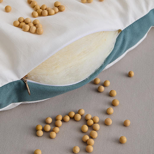 自然醒安娜公主A类刺绣立体边云柔大豆被冬被棉被芯加厚保暖空调春秋被FM 商品图7