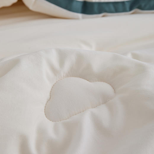 自然醒安娜公主A类刺绣立体边云柔大豆被冬被棉被芯加厚保暖空调春秋被FM 商品图8