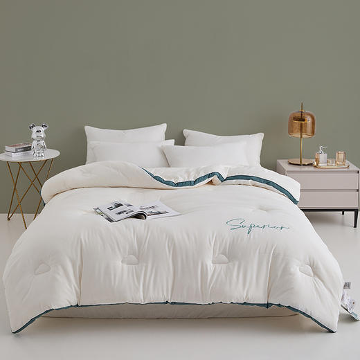 自然醒安娜公主A类刺绣立体边云柔大豆被冬被棉被芯加厚保暖空调春秋被FM 商品图0