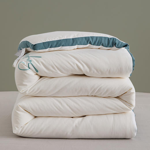 自然醒安娜公主A类刺绣立体边云柔大豆被冬被棉被芯加厚保暖空调春秋被FM 商品图1