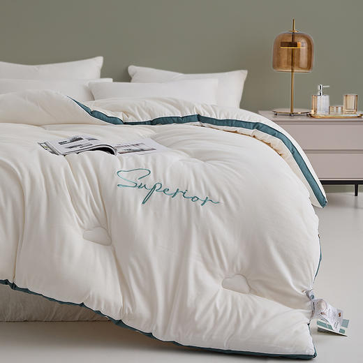 自然醒安娜公主A类刺绣立体边云柔大豆被冬被棉被芯加厚保暖空调春秋被FM 商品图2