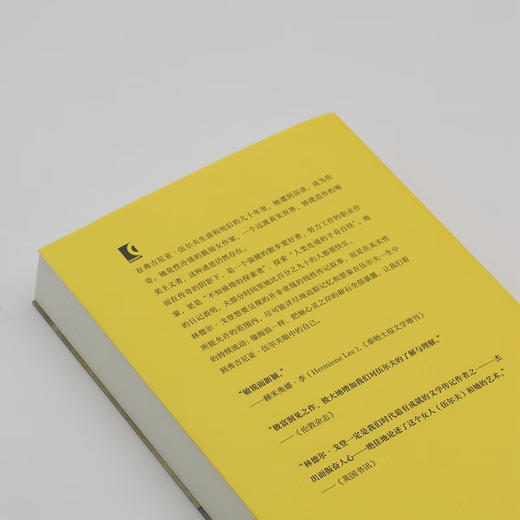 弗吉尼亚·伍尔夫传：作家的一生（是作家的一生，更是现代女性的一生） 商品图7