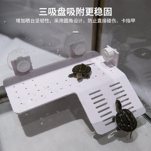 【吸盘晒台】乌龟晒背台高水位吸盘斜坡楼梯爬台乌龟缸休息平台 商品图0