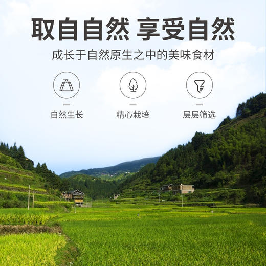 方家铺子 雪燕60g/瓶装 商品图8