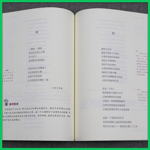 艾青诗选【九年级上】初中语文配套名著课程化阅读丛书 商品图2