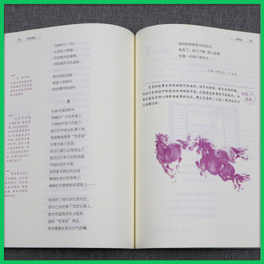 艾青诗选【九年级上】初中语文配套名著课程化阅读丛书 商品图3