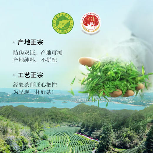 【预售 预计3月下旬上市】2026年纸包系列·龙井茶（一级）200g/包 商品图5