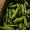 有机蚕豆（带夹） | 合作生产* Organic broad beans| Partner Production 商品缩略图1