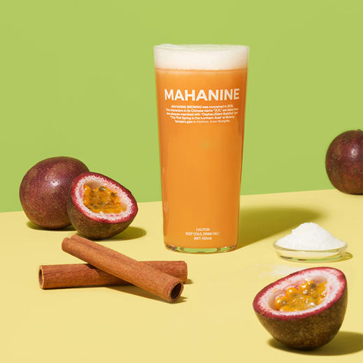 【冷库储存】大九酿造 热带共和海盐古斯酸啤 精酿啤酒 商品图3