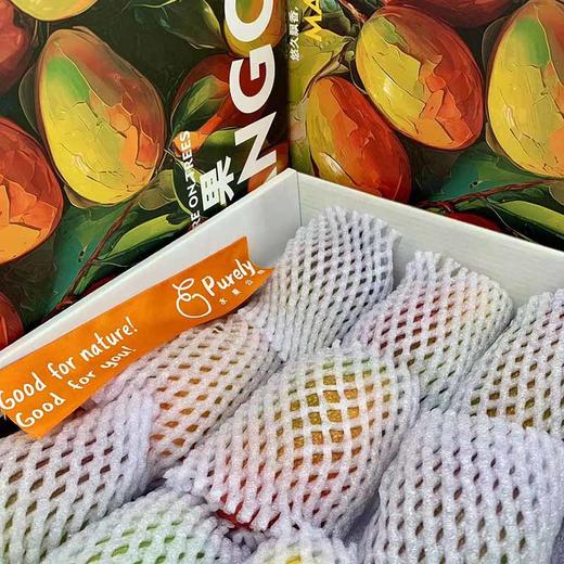海南树熟18°「小贵妃芒」整件 约2~2.1kg 商品图8