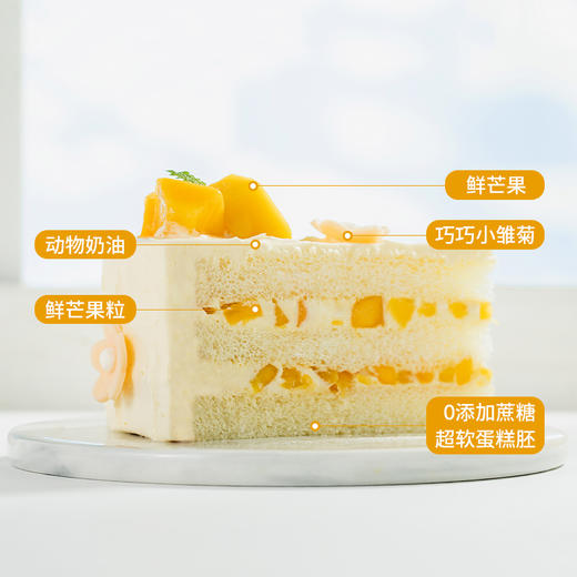 【微甜热量低】轻盈沐光蛋糕。微甜女孩，控甜之选！0添加蔗糖，更健康更好吃（全国正价链接） 商品图4