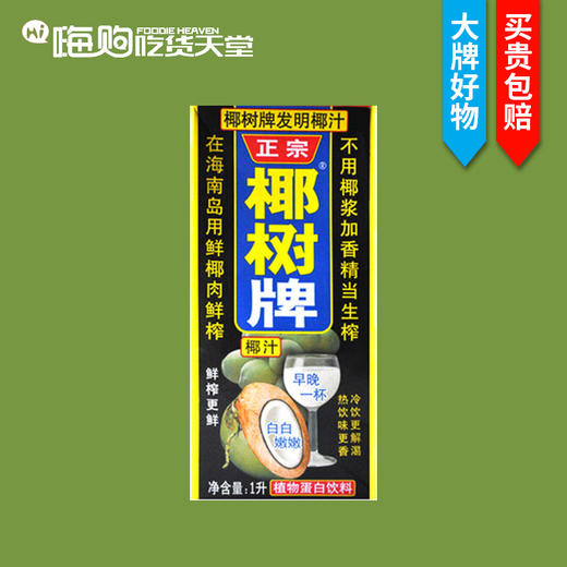 椰树椰汁1L（8A)(Z) 商品图0