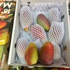 海南树熟18°「小贵妃芒」整件 约2~2.1kg 商品缩略图11