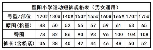 暨阳小学—运动短裤 商品图2
