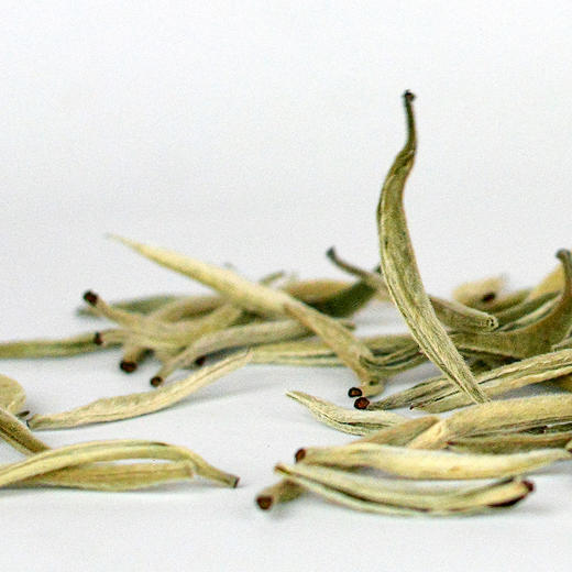 「云白1840」一口清甜蜜韵，2022年有活性的全芽头白茶（75g） 商品图2