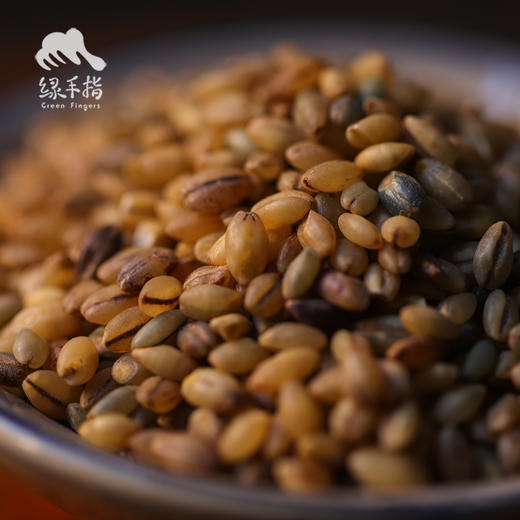 生态黑青稞米（糙米） | 合作生产*Eco-Black barley rice | Coproduction 商品图2