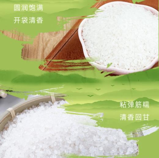 【商超同款】寒露秋香吉林香町米20斤 商品图8
