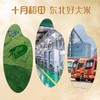 【商超同款】寒露秋香吉林香町米20斤 商品缩略图2