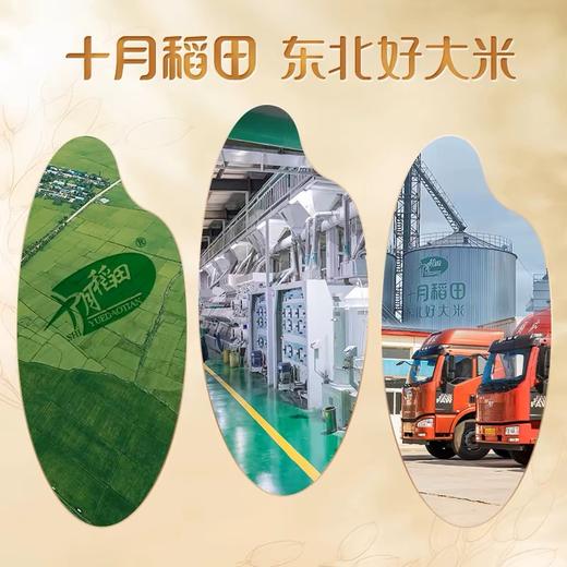 【商超同款】寒露秋香吉林香町米20斤 商品图2