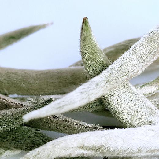 云白1840-2026-1000克-普洱白茶 商品图0