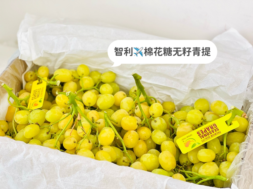 智利空运✈️棉花糖青提，打开盒就是甜甜的清香！果香味浓，带有一股棉花糖的味道