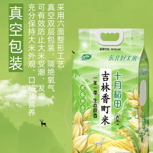 【商超同款】寒露秋香吉林香町米20斤 商品图7