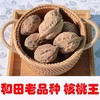 新疆和田核桃王 /阿克苏纸皮核桃新疆特产坚果 新疆直发 100元/3kg 商品缩略图0