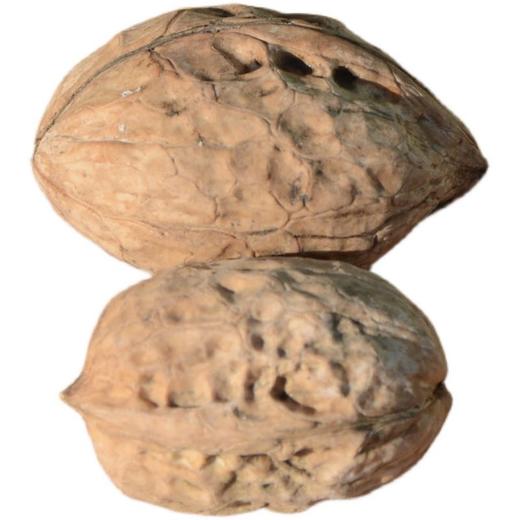 新疆和田核桃王 /阿克苏纸皮核桃新疆特产坚果 新疆直发 100元/3kg 商品图3