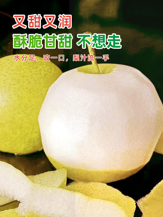 【安徽·砀山】皇冠梨 新鲜当季孕妇水果翠冠梨雪梨水晶梨 9斤整箱包邮 商品图0