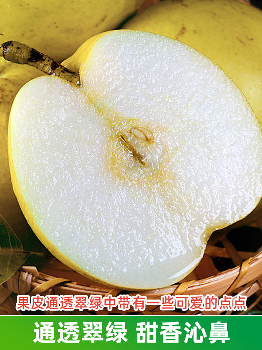 【安徽·砀山】皇冠梨 新鲜当季孕妇水果翠冠梨雪梨水晶梨 9斤整箱包邮 商品图3