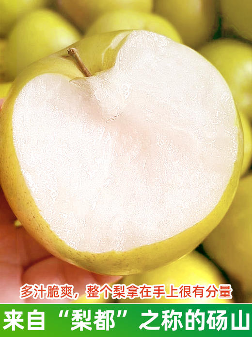 【安徽·砀山】皇冠梨 新鲜当季孕妇水果翠冠梨雪梨水晶梨 9斤整箱包邮 商品图1