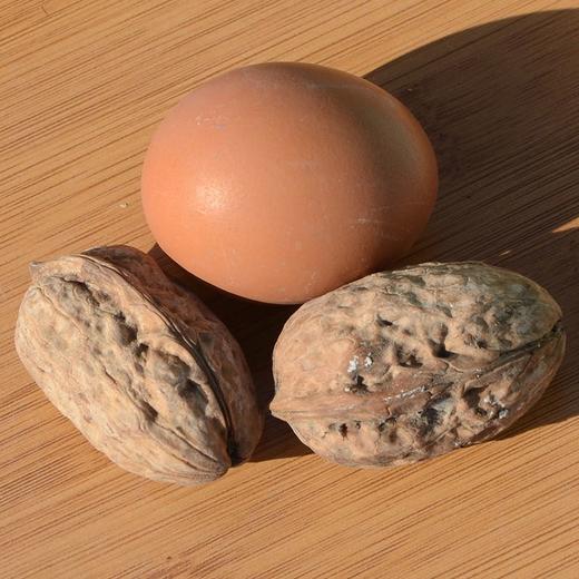 新疆和田核桃王 /阿克苏纸皮核桃新疆特产坚果 新疆直发 100元/3kg 商品图2